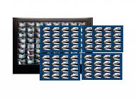 Доп. лицензия для WV-ASM300 до 64 экр продажа через WEB сайт. Panasonic WV-ASE202W